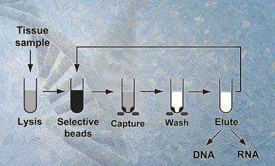 Reaction sequence