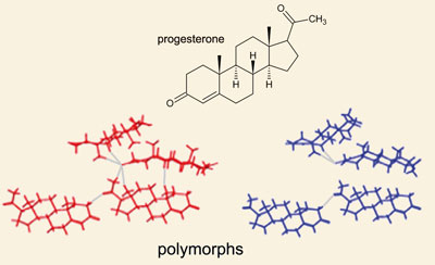 Image result for POLYMORPHISM DRUG