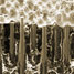 Microwire-array solar cell