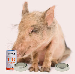 Pig and battery