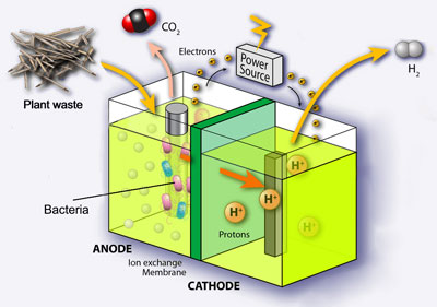 Breakthrough for bacterial hydrogen production