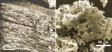 Carbon capture with sawdust