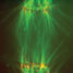 Mitotic spindle