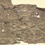 Bone fossil