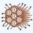 Tri-functionalised nanoparticles
