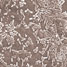 Bacteria