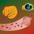 Small and sensitive nanoparticles