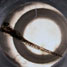 Zebrafish embryo