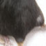 Mouse with vitiligo
