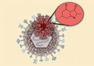 Compounds to combat cold sores