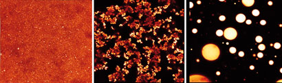 Micrographs showing structural changes occurring in the emulsion immediately after preparation (left), 30 minutes after incubation at pH 1.9 in simulated gastric fluid (middle) and 30 minutes after subsequent incubation at pH 6.8 in simulated intestinal fluid