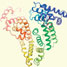 Human albumin structure