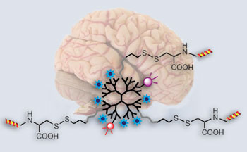 Brain and structure of nanoprobe