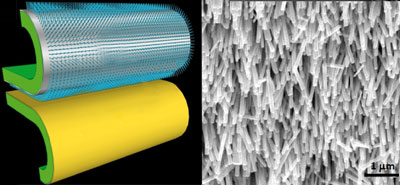 Zinc oxide nanowires and gold film on flexible substrates