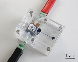 Micro fuel cells for microchips