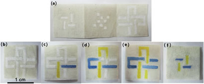 Microfluidic device in different stages