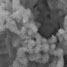 Lanthanum oxide nanoparticles