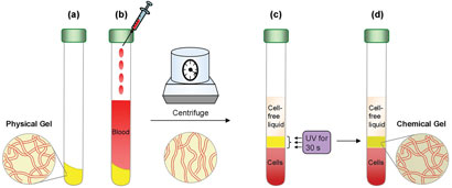 Blood separation with rigid gel