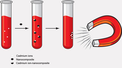 Removal of cadmium ions from a human blood sample with a magnet