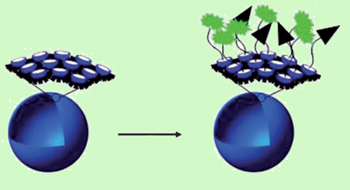 Polymer nanocapsule preparation