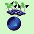 Polymer nanocapsule