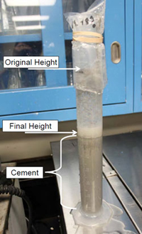 Cement sample