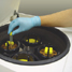 centrifuge