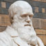 Nobel