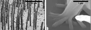 Nanorod cilia