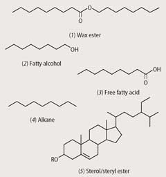 chemical structures 1-5