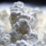 cornflour