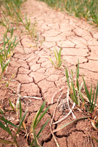 Climate change