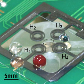 IBN's integrated lab-on-a-chip that can perform DNA analysis on whole blood samples