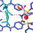 Cofactor catalysis