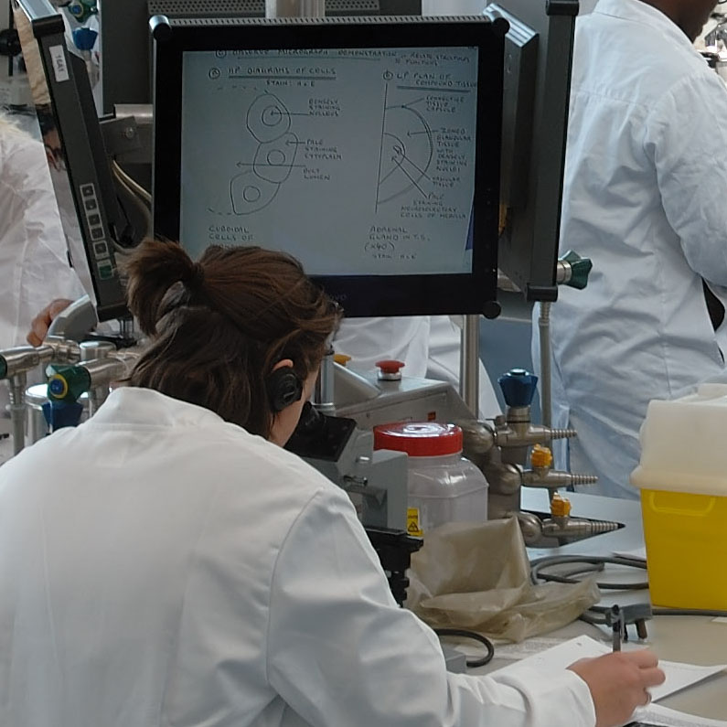 Student in Superlab