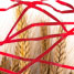 Red tape hindering research