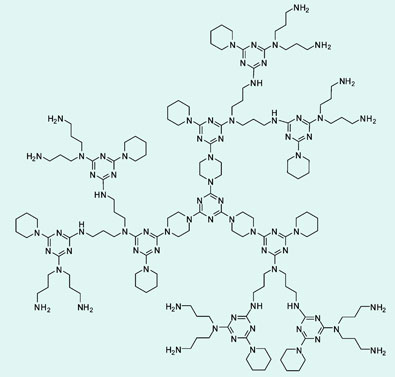 The dendrimer intermediate