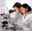 Developing Talent in the Chemical Sciences