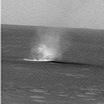 Dust devil