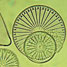 Diatoms