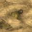 gunshot residue in fibres