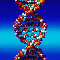 DNA