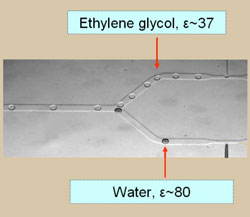 Droplets of water and ethylene glycol being sorted by composition into two channels