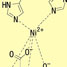 Polyacrylamide bound to the enzyme GyrB