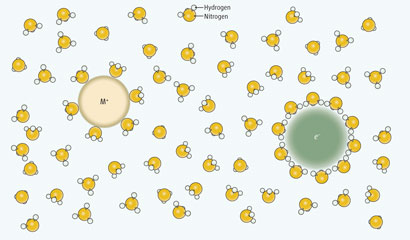 Free electrons in amonia