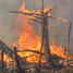 Rainforest fire