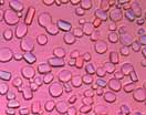 Fig 4(c) Ice crystals re-cooled to -10 degrees C