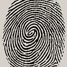 Fingerprint