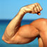 Nanotube artificial muscle