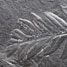 Fossilised leaf